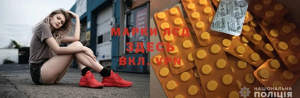 гашик Алексин