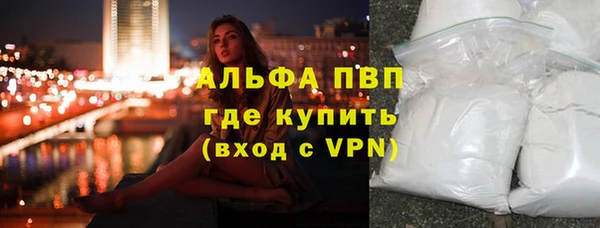 гашик Алексин