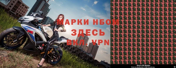 гашик Алексин