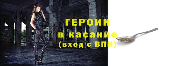 гашик Алексин
