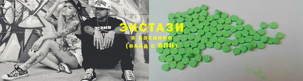 гашик Алексин
