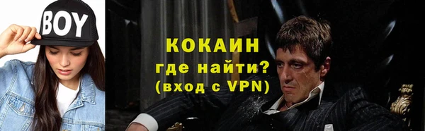 гашик Алексин