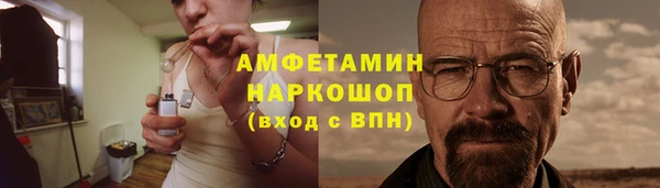 гашик Алексин