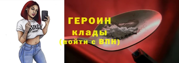 гашик Алексин