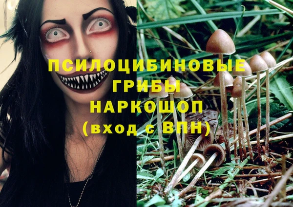 гидра Алзамай