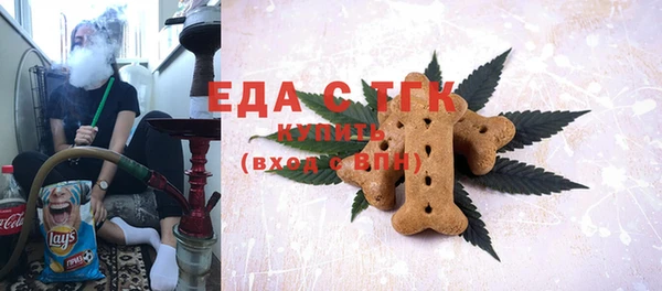 гашик Алексин