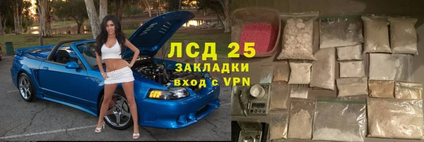 гашик Алексин