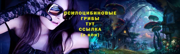 гидра Алзамай