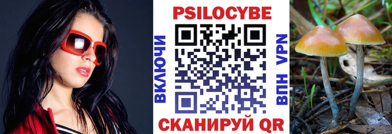 купить наркотик  Королёв  Галлюциногенные грибы мухоморы 